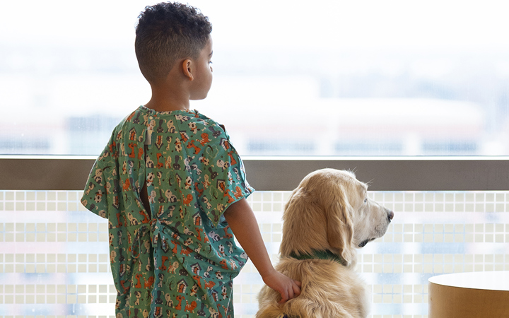 Hospital dogs like Ralph provide a calm, nurturing presence for kids who are away from home and may be missing their own pets.